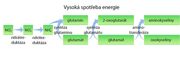 spotreba
